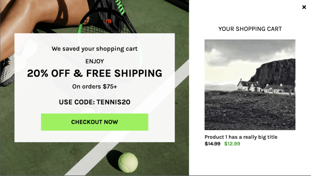 Returning Cart Abandoner